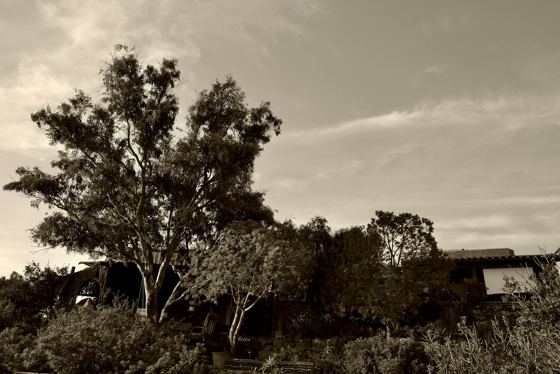 Romy Rainer photographic series at Eco House Patmos, photograph 7