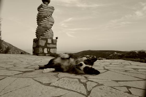 Romy Rainer photographic series at Eco House Patmos, photograph 15